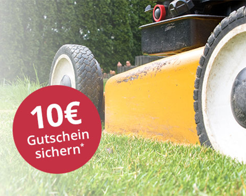 10 € Gutschein sichern mit dem Greenbase Newsletter