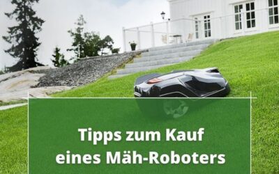 Mähroboter Tipps von Greenbase l Josef Oechsle GmbH & Co. KG